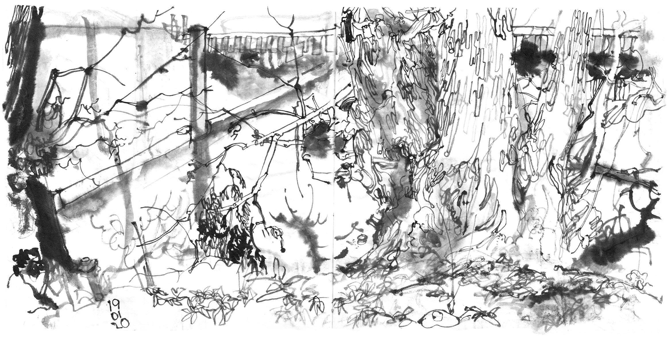 Ink drawing of a tree at a small canal