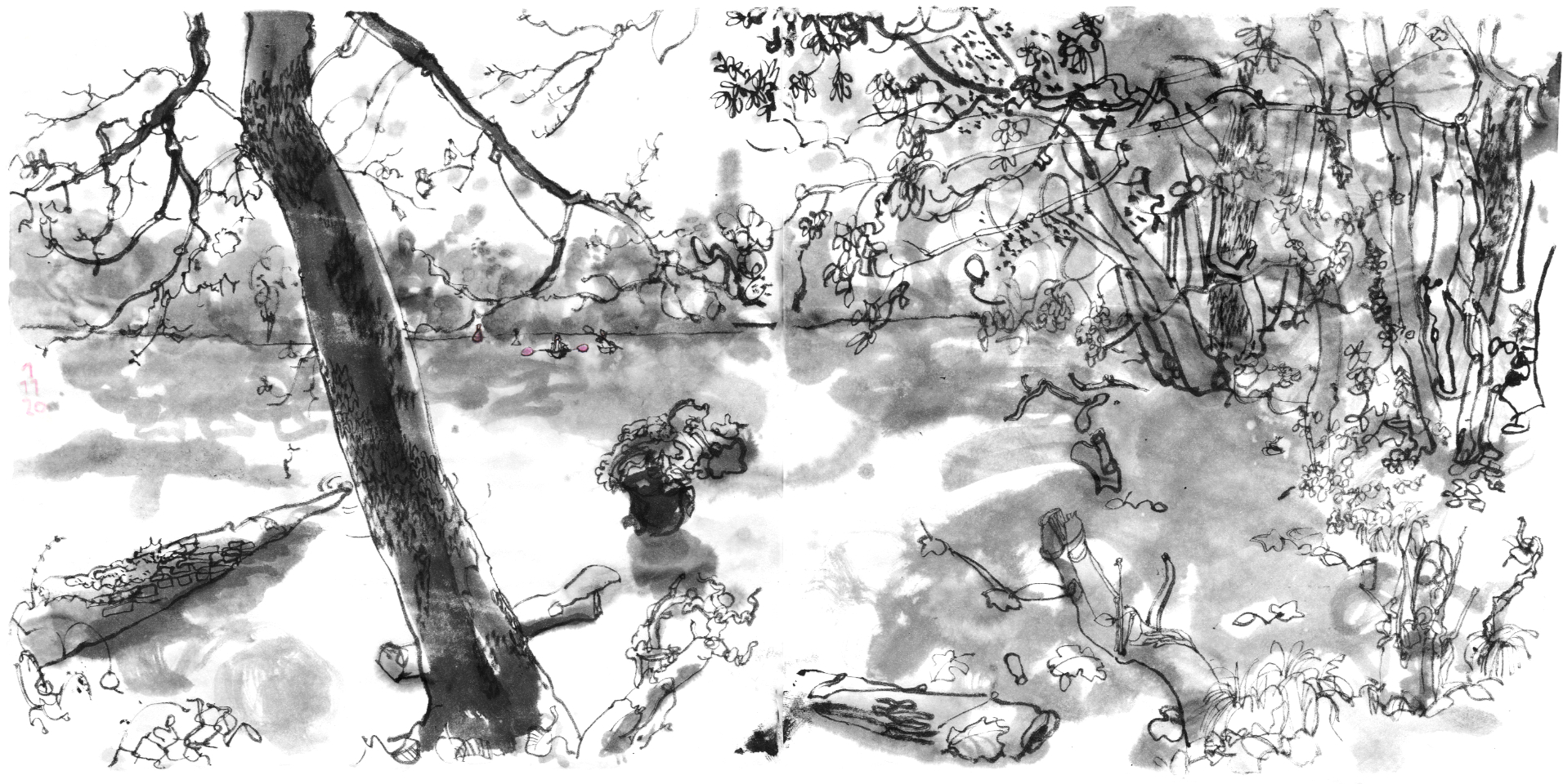 Ink drawing from the side of a lake, trees, one in front, more on the bank at the right and on the opposite bank, logs in the water. Two paddlers in kayaks approaching, still far and small.