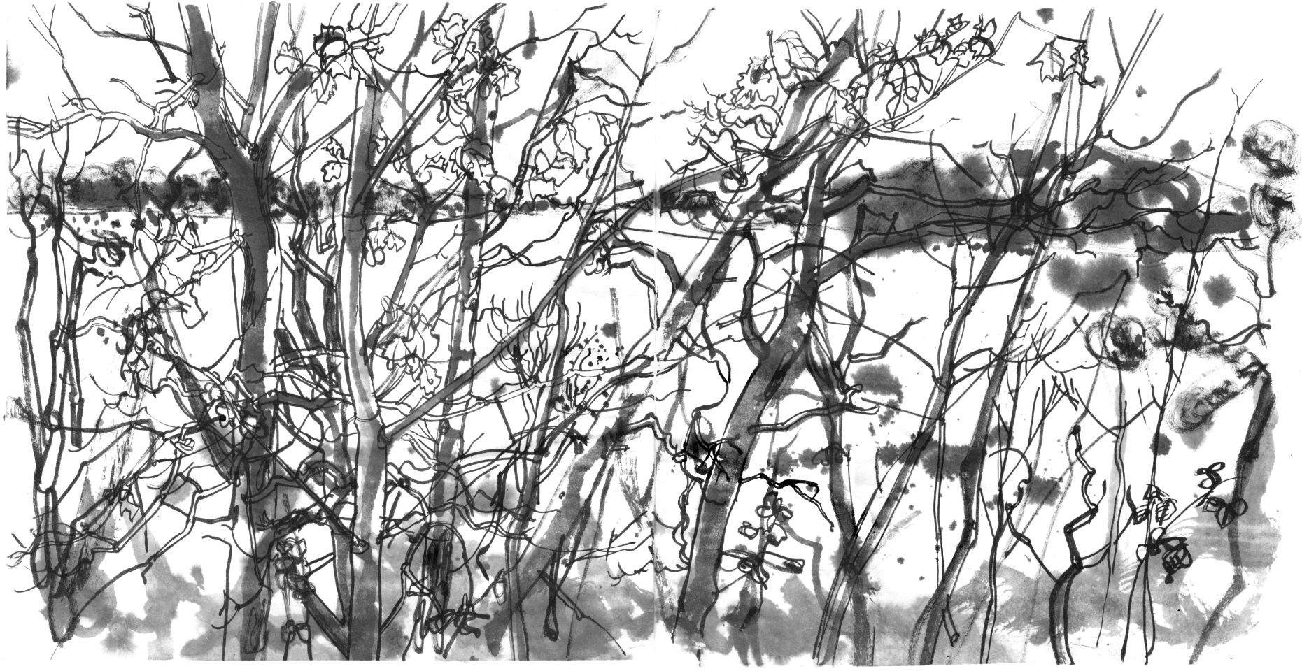Ink drawing of a wintery forest in front of a lake.