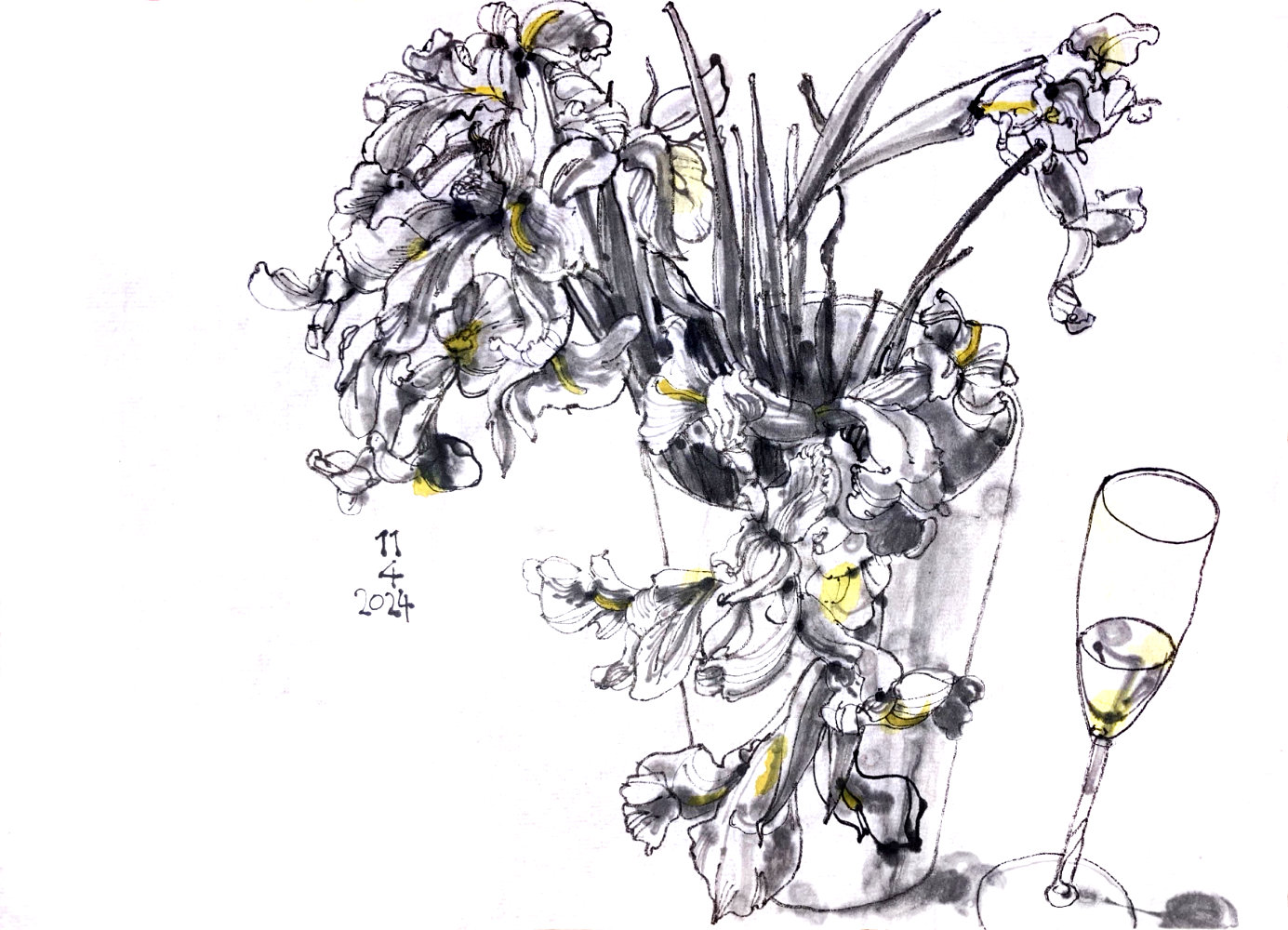 Ink drawing of a bouqet of irises, already blooming widely, in a vase, aside of a half filled wine glass.