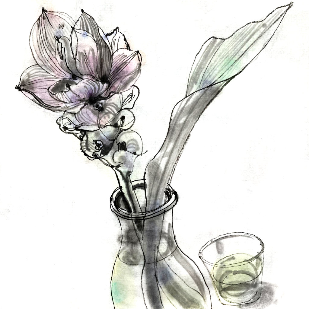 (Slightly) colored ink drawing of a turmeric flower in a glass vase, simple muglike glass with greenish wine in the back.