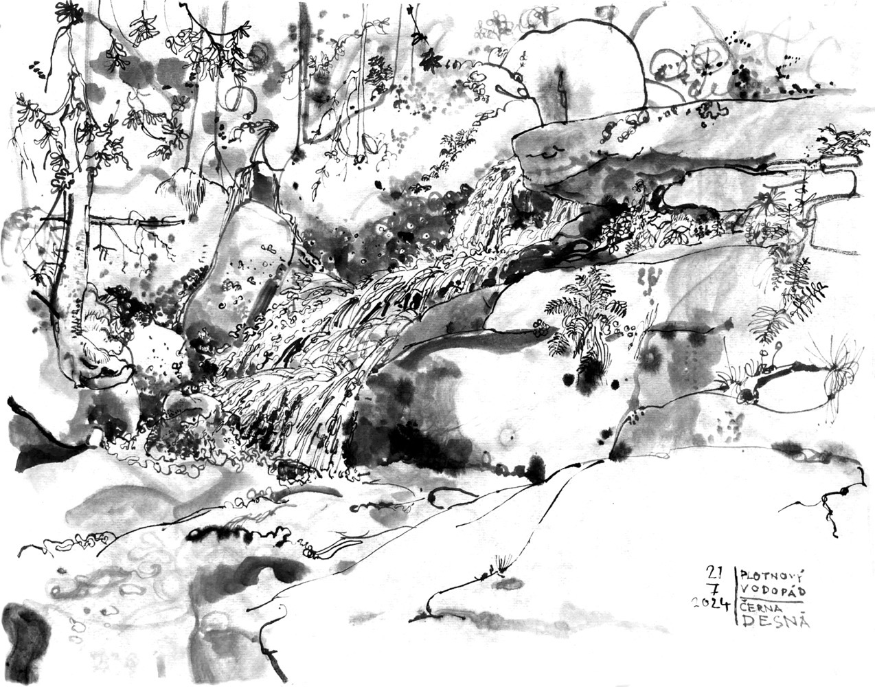 Ink drawing of a small river, falling down in steps between rocks, plants grow between some of the rocks, trees on the opposite bank.