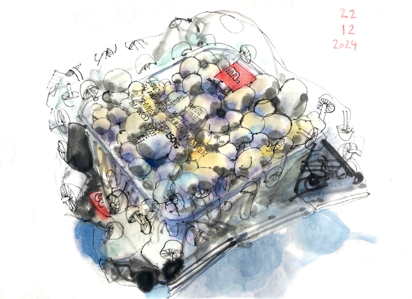 Colored ink drawing of a plastic tray with mushrooms, sealed in plastic film.