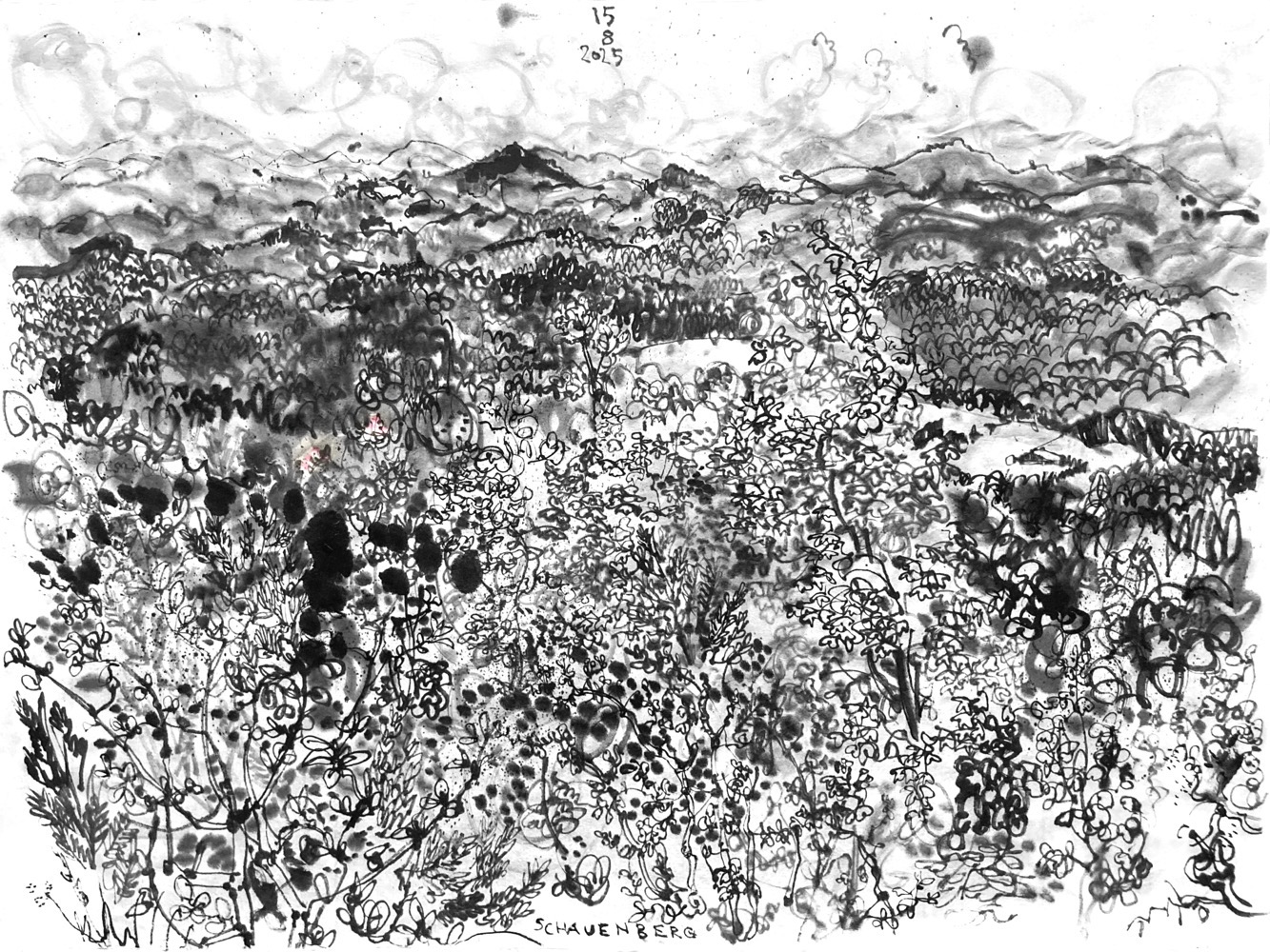 Tuschezeichnung einer Landschaft, gesehen von einem erhöhten Standpunkt, vorne sind Sträucher und Baumwipfel, dahinter kleiner bewaldete Hügel und ganz hinten teils hohe Berge.